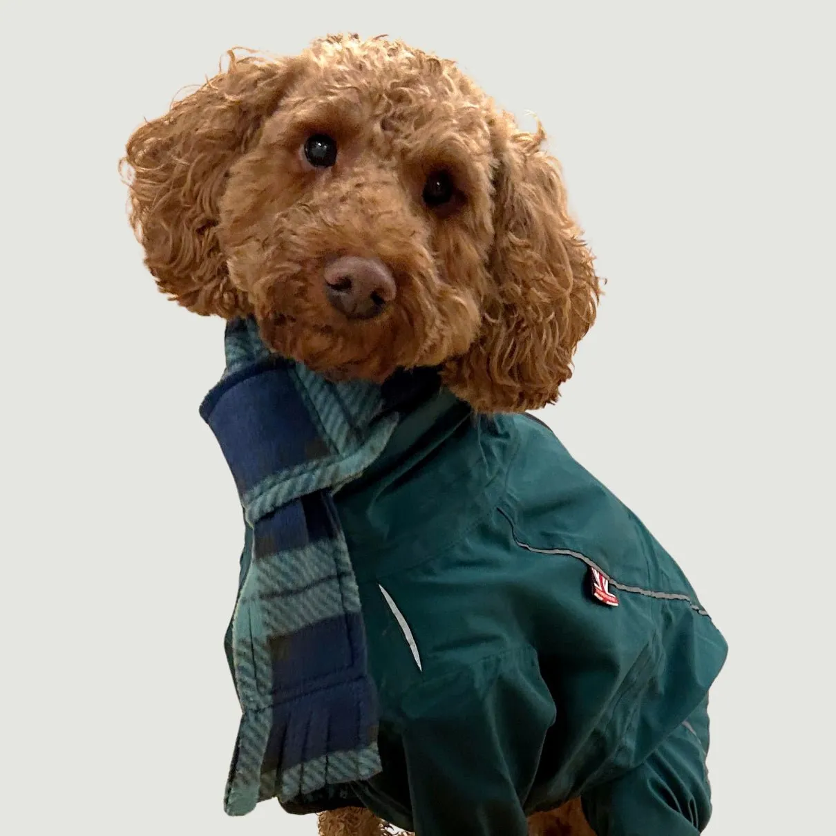 Blue & Green Clifton Highland Tartan Fleece Pet Scarf